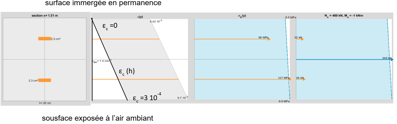 section mécanique d'une section comprimée soumise à un gradient de retrait