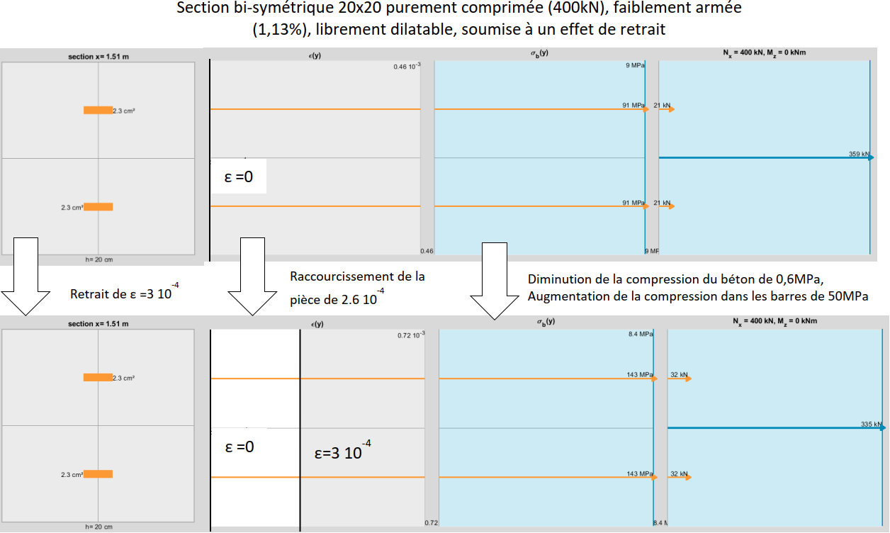 autocontraintes générées dans une section de béton armé soumise au retrait